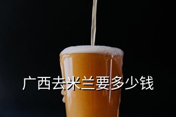 广西去米兰要多少钱