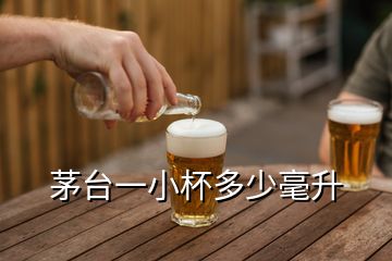 茅台一小杯多少毫升