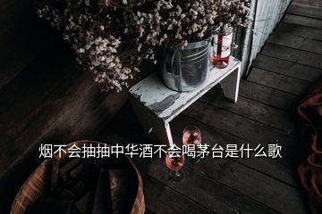 烟不会抽抽中华酒不会喝茅台是什么歌