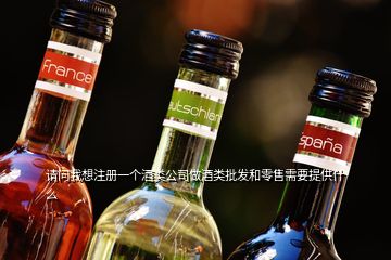 请问我想注册一个酒类公司做酒类批发和零售需要提供什么