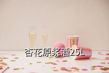 杏花原浆酒25L