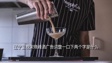 辽宁卫视宋晓峰酒广告词整一口下两个字是什么