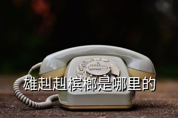 雄赳赳槟榔是哪里的