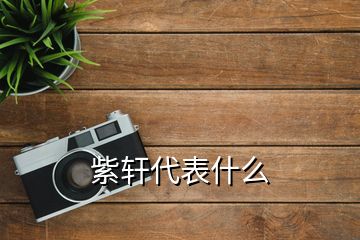 紫轩代表什么