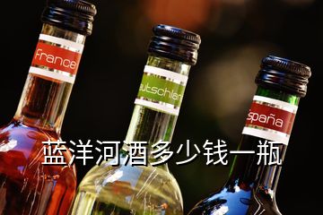 蓝洋河酒多少钱一瓶