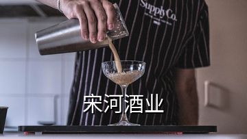 宋河酒业