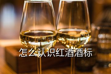 怎么认识红酒酒标