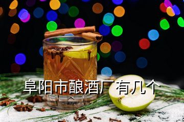 阜阳市酿酒厂有几个