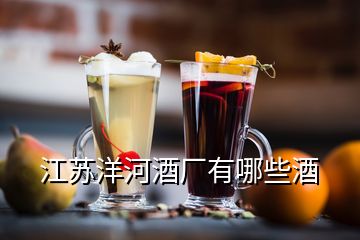 江苏洋河酒厂有哪些酒