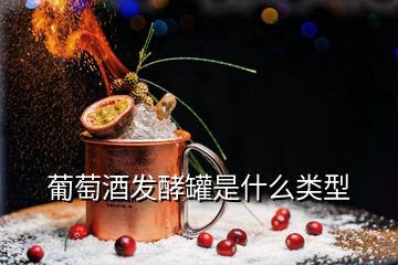 葡萄酒发酵罐是什么类型