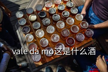 vale da mo这是什么酒