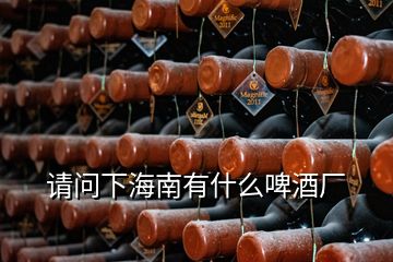 请问下海南有什么啤酒厂