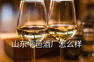 山东平邑酒厂怎么样