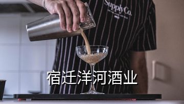 宿迁洋河酒业