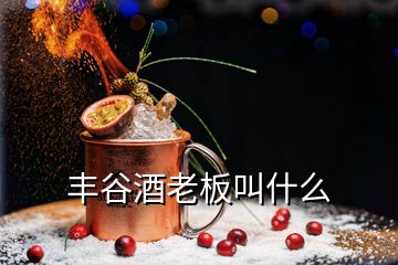 丰谷酒老板叫什么