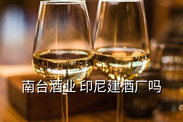 南台酒业 印尼建酒厂吗