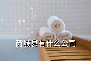 芮城县有什么公司