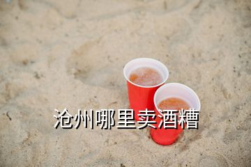 沧州哪里卖酒糟