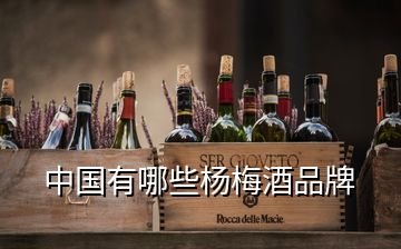 中国有哪些杨梅酒品牌