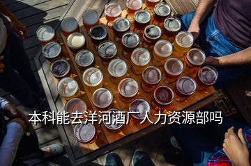 本科能去洋河酒厂人力资源部吗