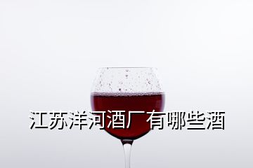 江苏洋河酒厂有哪些酒