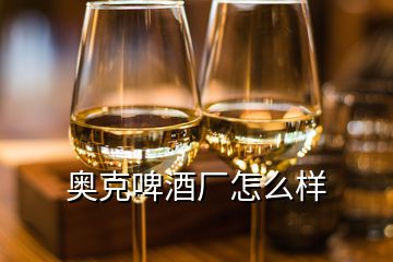 奥克啤酒厂怎么样