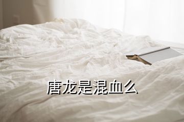 唐龙是混血么