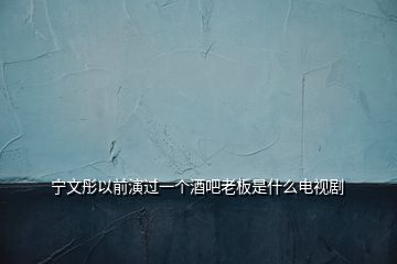 宁文彤以前演过一个酒吧老板是什么电视剧