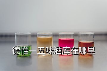 德惟一五味酒库在哪里