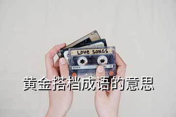 黄金搭档成语的意思