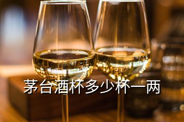 茅台酒杯多少杯一两