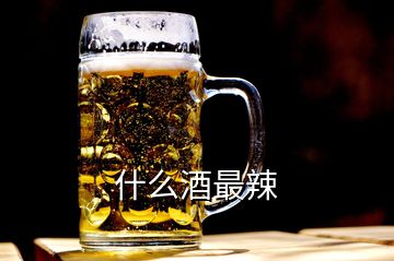 什么酒最辣