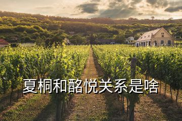 夏桐和酩悦关系是啥