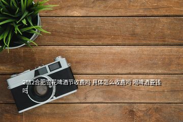 2012合肥雪花啤酒节收费吗 具体怎么收费吗 喝啤酒要钱吗