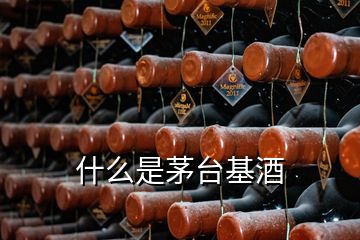 什么是茅台基酒