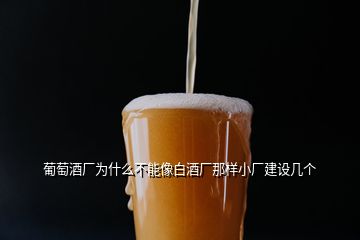 葡萄酒厂为什么不能像白酒厂那样小厂建设几个