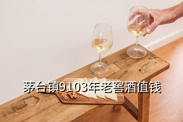 茅台镇9103年老窖酒值钱