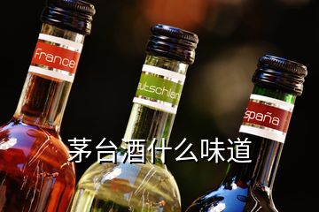 茅台酒什么味道