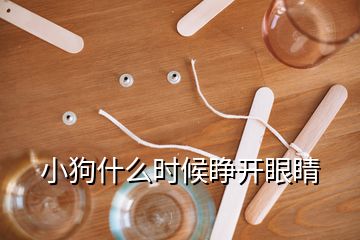 小狗什么时候睁开眼睛