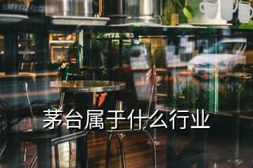 茅台属于什么行业