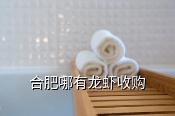 合肥哪有龙虾收购