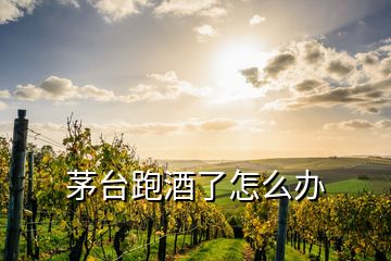 茅台跑酒了怎么办