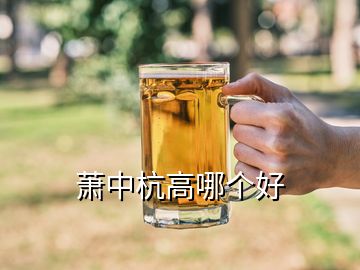 萧中杭高哪个好