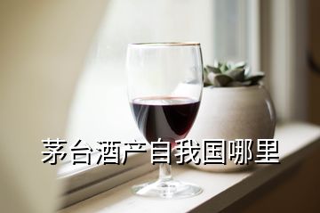 茅台酒产自我国哪里