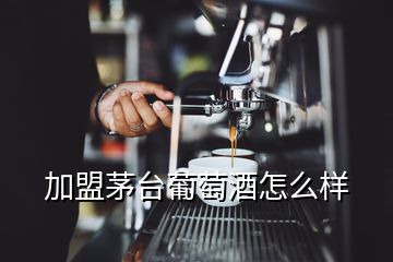 加盟茅台葡萄酒怎么样