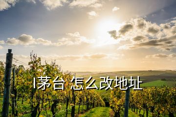 I茅台 怎么改地址