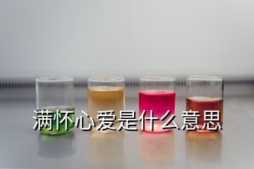 满怀心爱是什么意思