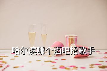 哈尔滨哪个酒吧招歌手