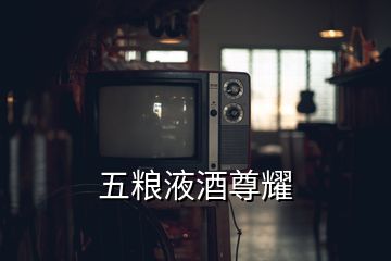 五粮液酒尊耀