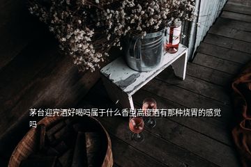 茅台迎宾酒好喝吗属于什么香型高度酒有那种烧胃的感觉吗